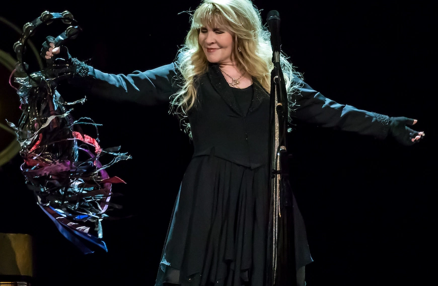 stevie nicks at a concert